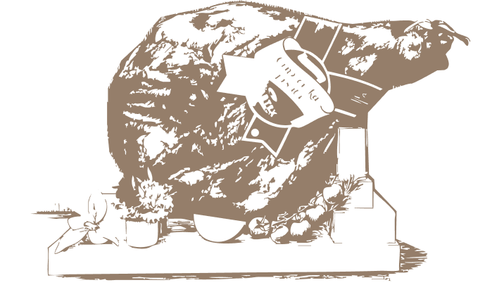 {{brizy_dc_image_alt imageSrc=